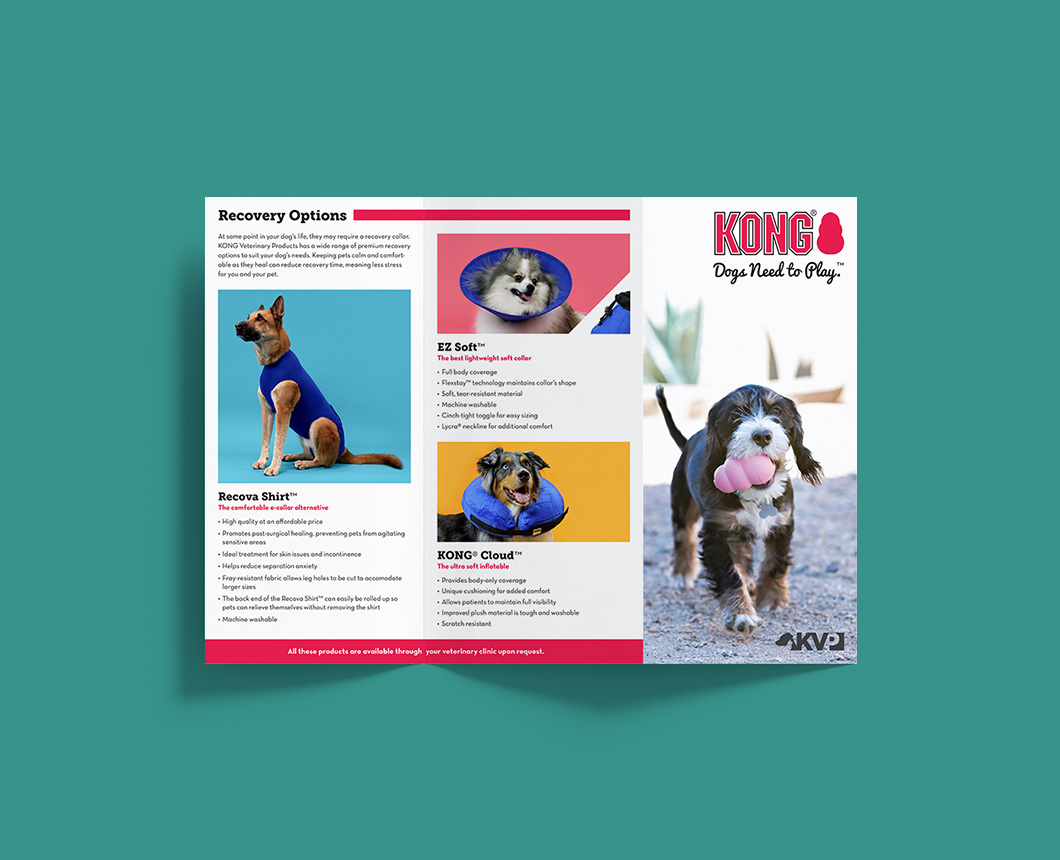 The outer side of the KONG Product Brochure.