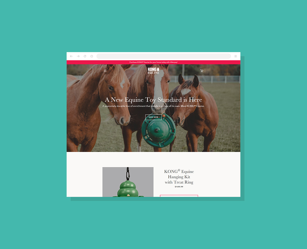 A partial screenshot of the KONG Equine website homepage.